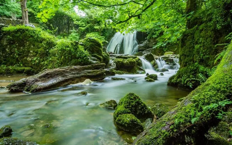 科技科技